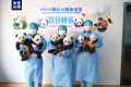 陜西2022年成功繁育7只大熊貓縮略圖