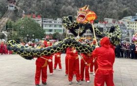 鎮巴：龍騰獅舞鬧新春縮略圖
